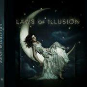 Sarah McLachlan - Laws of Illusion