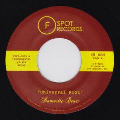 Domestic Bear - Universal Root / Topher Nights (7 inch Vinyl)