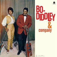Bo Diddley - & Company