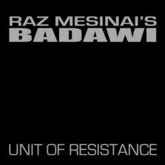Raz Mesinai, Raz Mesinai's Badawi - Unit of Resistance