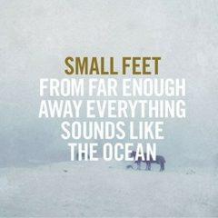 Small Feet - From Far Enough Away Everything Sounds Like  Digital