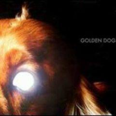 The Golden Dogs - Coat of Arms