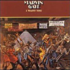 Marvin Gaye - I Want You  Reissue