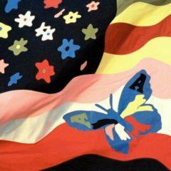 The Avalanches - Wildflower  Explicit