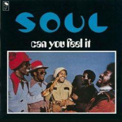 S.O.U.L., A Soul, The Soul, Thesoul, Soul - Can You Feel It?