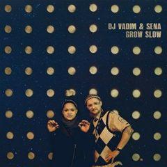 DJ Vadim & Sena - Grow Slow   With CD