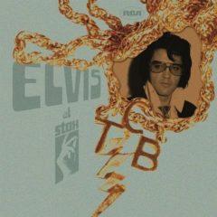 Elvis Presley - Elvis at Stax