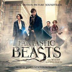 Fantastic Beasts & W - Fantastic Beasts & Where (Picture Disc) (Original Soundtr