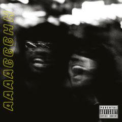 The Doppelgangaz - Aaaaggghh [New CD]