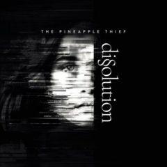 Pineapple Thief - Dissoultion