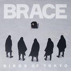 Birds of Tokyo - Brace (Limited Edition White Vinyl)  Colored Viny