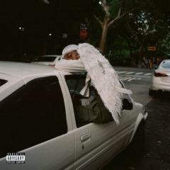 Blood Orange - Negro Swan