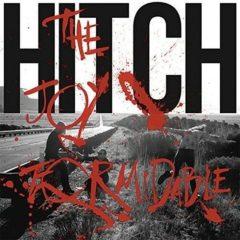 The Joy Formidable - Hitch