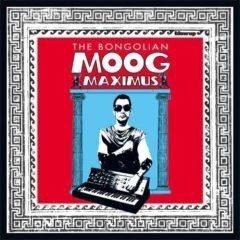 Bongolian - Moog Maximus