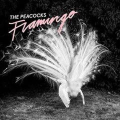 Peacocks - Flamingo  180 Gram