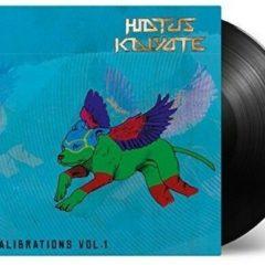 Hiatus Kaiyote - Recalibrations 1