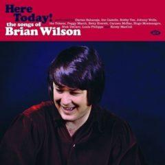 Various Artists - Here Today! Songs of Brian Wilson