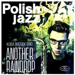 Kuba Trio Wiecek - Another Raindrop  Poland - Import
