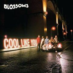 The Blossoms - Cool Like You