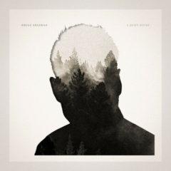 Rhian Sheehan - A Quiet Divide  Bonus Track, White