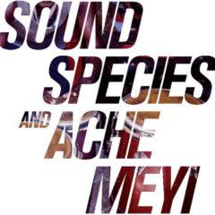 Soundspecies & Ache - Soundspecies & Ache Meyi