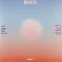 Kunzite - Bird's Don't Fly