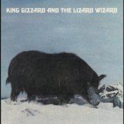 King Gizzard & The Lizard Wizard ( - Polygondwanaland White