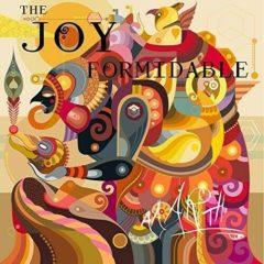 The Joy Formidable - Aaarth Seradom