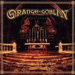 Orange Goblin - Thieving From The House Of God