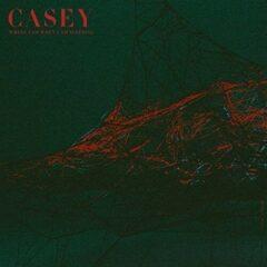 Casey - Where I Go When I Am Sleeping Blue, Colored Vinyl, Mp3 Do