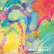 John Medeski - Mad Skillet