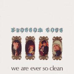 Blossom Toes ‎– We Are Ever So Clean
