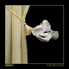 Adult - This Behavior Clear Vinyl