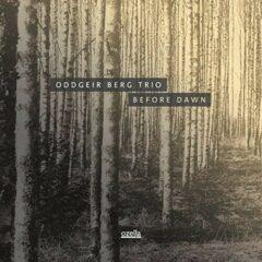 Oddgeir Trio Berg - Before Dawn