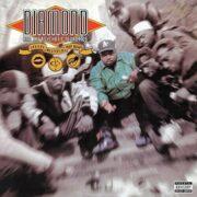 Diamond D - Stunts, Blunts & Hip Hop