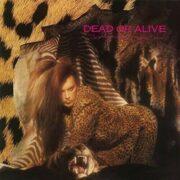 Dead or Alive - Sophisticated Boom Boom