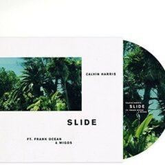 Slide Picture Disc, "