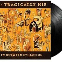 The Tragically Hip - In Between Evolution