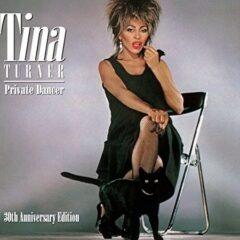 Tina Turner - Private Dancer