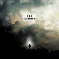 P.O.D. ( Payable on Death ) - The Awakening