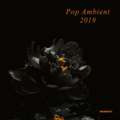 Various Artists - Pop Ambient 2019 (Various Artists) 2 Pack