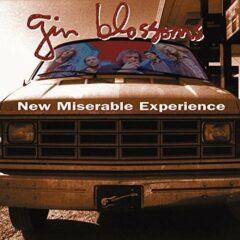 Gin Blossoms - New Miserable Experience Colored Vinyl, 45 Rpm