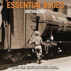 Various Artists - Essential Blues Anthology / Various