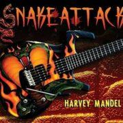 Harvey Mandel - Snake Attack