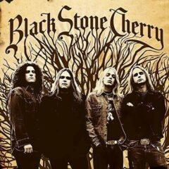 Black Stone Cherry ‎– Black Stone Cherry