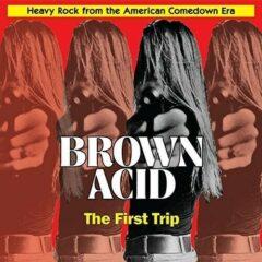 Various Artists - Brown Acid: First Trip