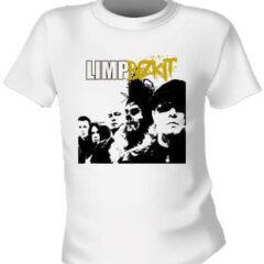 Футболка Limp Bizkit Group