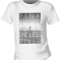 Футболка Pink Floyd Endless River
