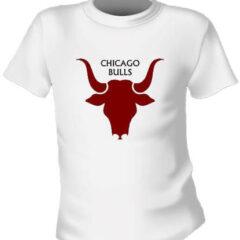 Футболка Chicago Bulls