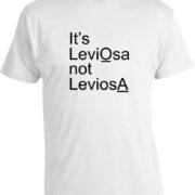 Футболка Harry Potter Leviosa